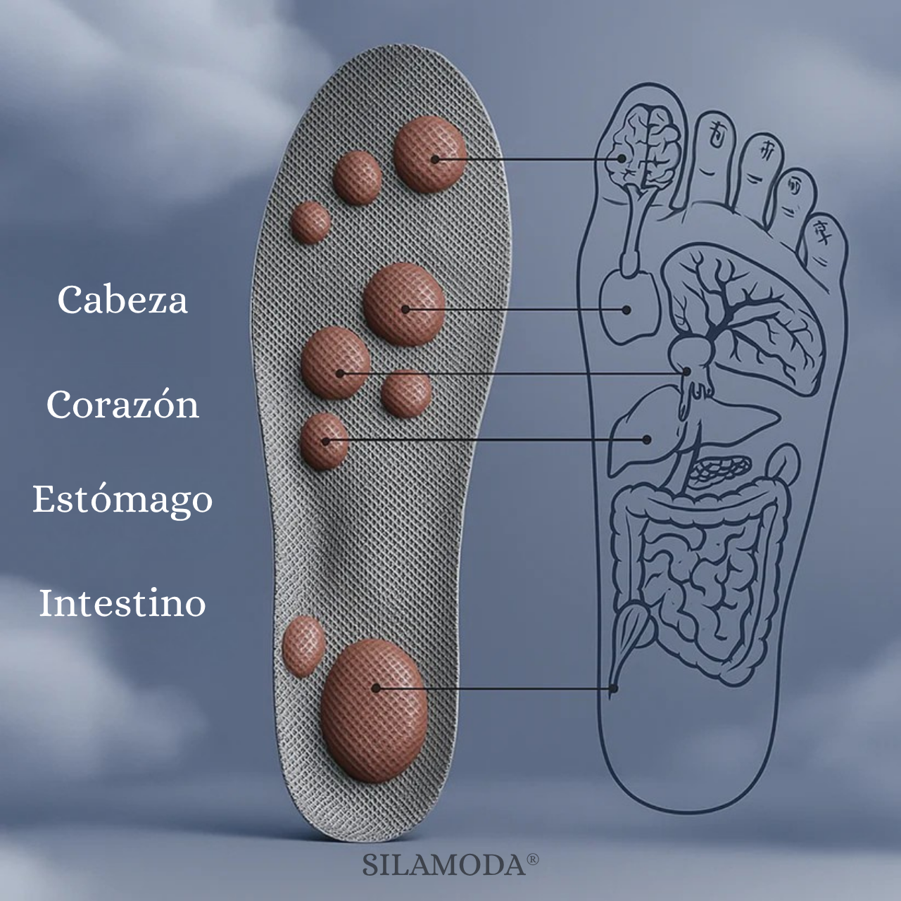 Plántillas Ortopédicas - A medida